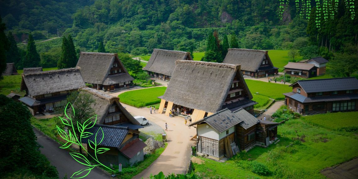 The Quiet Victories: Why Peaceful Days Matter