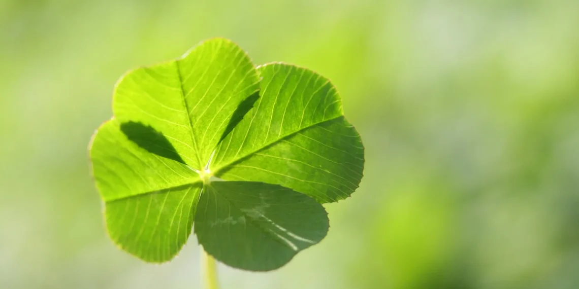4 Zodiac Signs That Create Their Own Luck