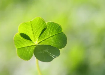 4 Zodiac Signs That Create Their Own Luck