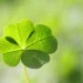 4 Zodiac Signs That Create Their Own Luck